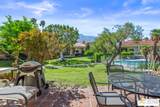 691 Calle Petunia - Photo 37