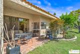 691 Calle Petunia - Photo 39