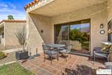 691 Calle Petunia - Photo 41