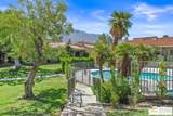 691 Calle Petunia - Photo 44