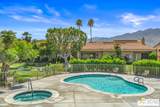 691 Calle Petunia - Photo 45