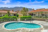 691 Calle Petunia - Photo 46