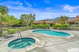 691 Calle Petunia - Photo 47