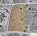 0 Roy Rogers Rd - Photo 14