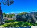 126 Via Valverde - Photo 41