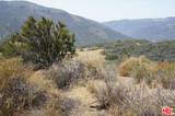 34215 Mulholland - Photo 10