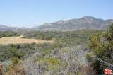 34215 Mulholland - Photo 6