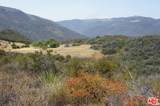 34215 Mulholland - Photo 7
