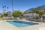 2084 Lagarto Way - Photo 33