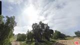35218 Twin Willow Rd - Photo 2