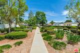 10297 Wrangler Way - Photo 17