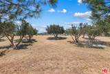 640 Foreston Dr - Photo 28