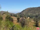 2840 Tuna Canyon Rd - Photo 6