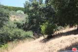 2534 Benedict Canyon Dr - Photo 20