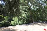 2534 Benedict Canyon Dr - Photo 22