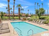 38361 Gazania Cir - Photo 5