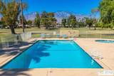 7651 Calle Mazamitla - Photo 50