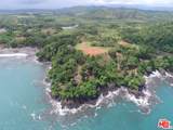 1 The Isla Panama - Photo 10