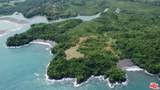 1 The Isla Panama - Photo 19