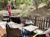 39486 Raccoon Dr - Photo 23