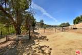 24926 Jim Bridger Rd - Photo 34