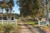 4314 Ocean Ave - Photo 2