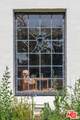 160 Poinsettia Pl - Photo 4