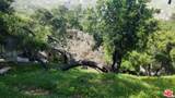 26247 Fairside Rd - Photo 6