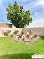 69801 Ramon Rd - Photo 2