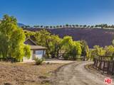1959 Rambling Oaks Rd - Photo 29