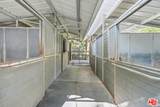 13241 Riviera Ranch Rd - Photo 11