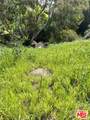 21500 Rambla Vis - Photo 8