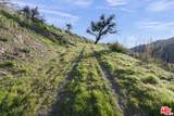 1100 Kanan Dume Rd - Photo 6