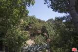 1023 Hollybush - Photo 9