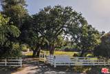 1697 Potrero Rd - Photo 3