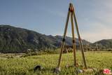1697 Potrero Rd - Photo 39