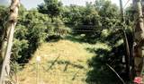 0 Benedict Canyon Dr - Photo 3