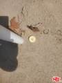 7797 Quartz Rd - Photo 11