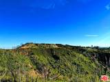 2825 Tuna Canyon Rd - Photo 12