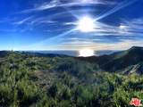 2825 Tuna Canyon Rd - Photo 24