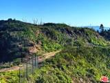 2825 Tuna Canyon Rd - Photo 4