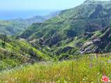 2825 Tuna Canyon Rd - Photo 6
