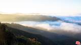 9950 Cotharin Rd - Photo 44