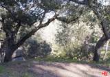 21050 Winfield Rd - Photo 1