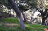 21050 Winfield Rd - Photo 10