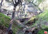 21050 Winfield Rd - Photo 8