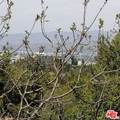 7264 Woodrow Wilson Dr - Photo 4