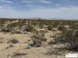 1725 Sunny Vista - Photo 8