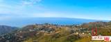 23442 Copacabana St - Photo 5