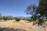 10424 Santa Fe Fire Rd - Photo 45